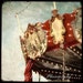 Le Manege 03 - 6x6 Fine Art Photo - October Sale