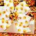 Halloween--Crazy Candy Corn Dog Collar with Bow, Choose Your Size