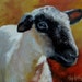 Sheep Painting of Kevin Original Canvas Oil Painting Black and White Sheep by Cheri Wollenberg