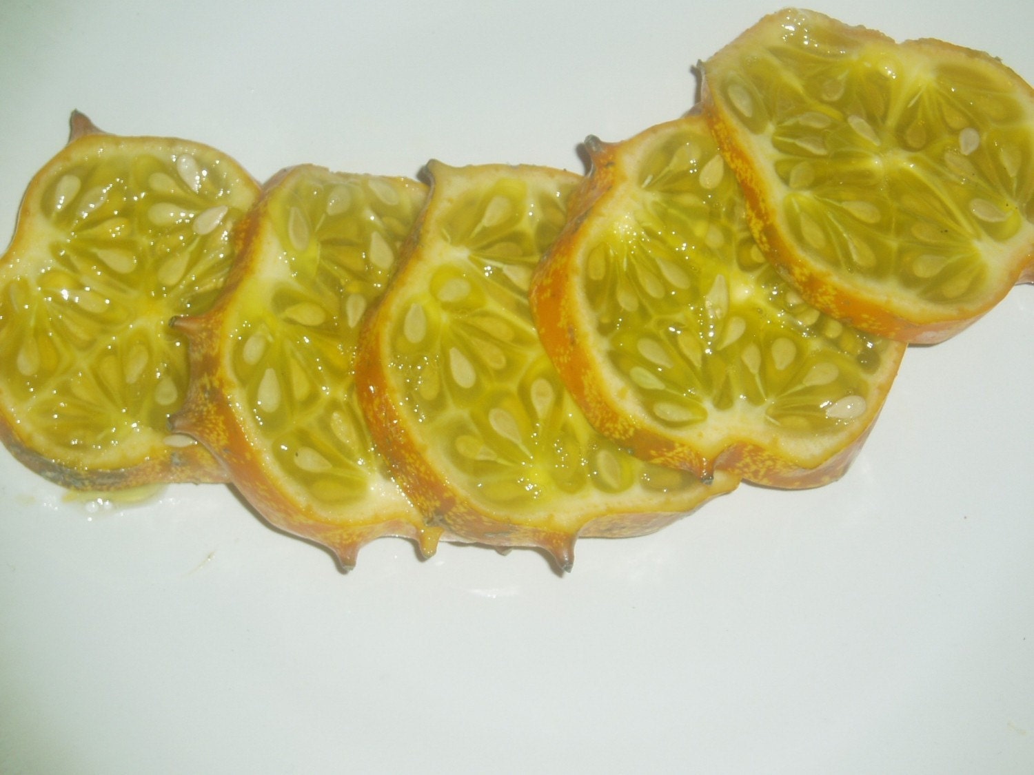 Jelly Melon Seeds by BrandysBotanyBay on Etsy