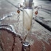 bottled wishes. vial. thistle down. necklace.