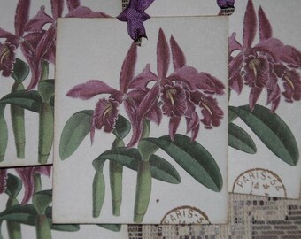 Lavender Iris Flower Gift Tags