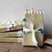Mini Pencils in Kraft Box - wedding or party favor