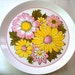 Vintage Mikasa Plates Set, Ben Seibel, Duplex "Eden", Mod Foral, Yellow, Pink, Green