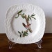 Vintage English Ceramic Bird Plate, "Bewick's Wren", Alfred Meakin, Audubon