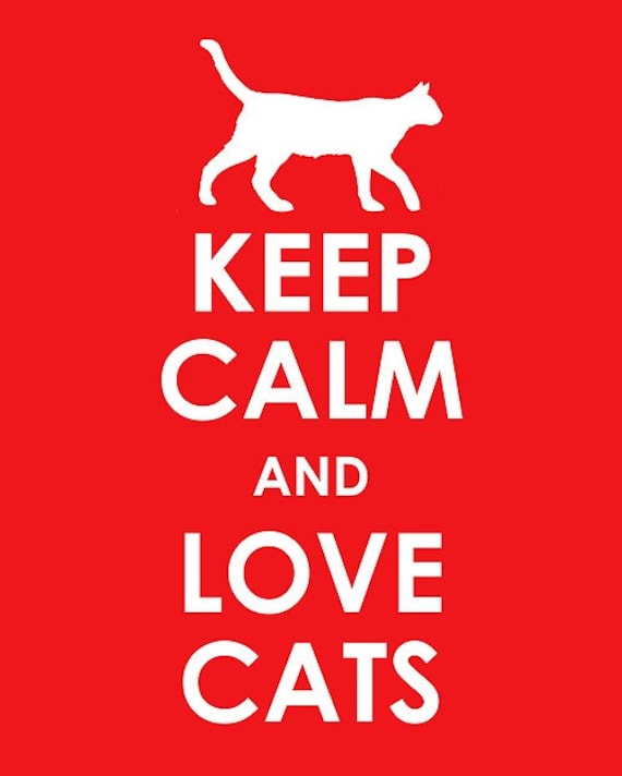 keep calm and carry on cats