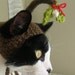 Under the Mistletoe Christmas Cat Hat
