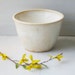 Flower Pot - Planter - Creamy White - Handmade Ceramic Rustic Planter - Stoneware Pottery