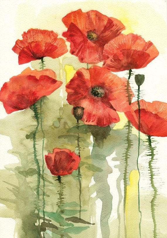 Bloomed Poppies original watercolor painting