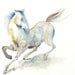 White Horse Watercolor Painting - 9x12 Fine Art Original Painting