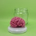 Brain in a Jar Raspberry Anatomical Curio 2R
