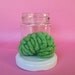 Zombie Brain Specimen Jar Anatomical Curio