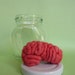 Specimen Jar Brain Anatomical Curio Medium Sized Salmon Colour 1S