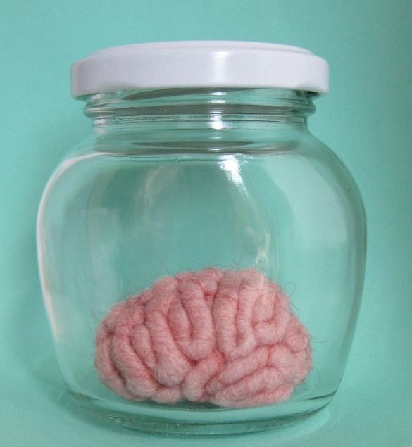 Specimen Jar Brain Anatomical Curio Medium Sized No.2
