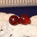 Carnelian Reddish Orange Colour Stud Post Earrings Earings 10mm Round Titanium Ear Wires Hypo Allergenic Handmade in Newfoundland Energizes