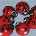 Lady Bug Beads (10)