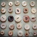 vintage buttons mother-of-pearl in ivory cream (lot of 25)