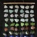 Colorful Sea Glass Mobile Suncatcher Featuring Rare Sea Glass Colors