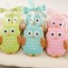 Owl Sugar Cookie Favors - 20 favors (gift bagged and bowed)