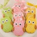 Owl Cookie Favors - 2 Dozen Decorated Sugar Cookies