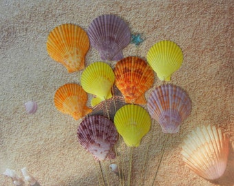 Tropical Seashell Stems - Naturally Colorful Tropical Seashell Bouquet Stems for Wedding Bouquet Bridal Bouquet or Centerpieces