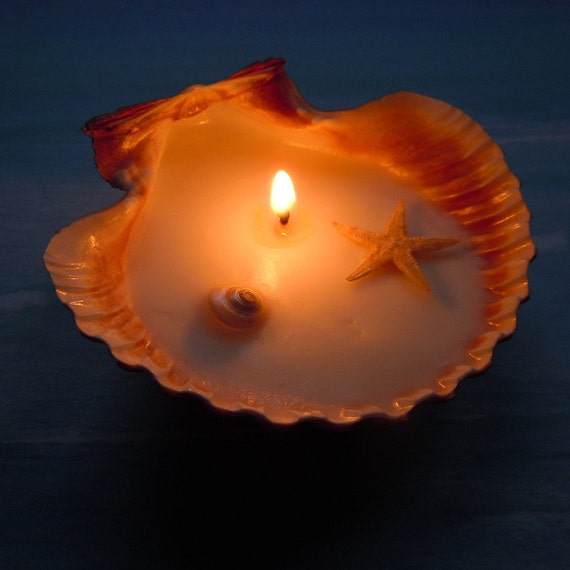 Mermaids Tide Pool Soy Wax Seashell Candle