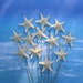 One Dozen Starfish with Pearls for a Wedding Bouquet or Centerpiece