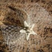 Starfish Headband - SeaStar Bow Starfish and Pearl Headband
