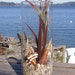 BEACH DECOR, SEASHELLS arrangement, nautical, permanent in glass -- Medium Brown, faux seagrass, home decor