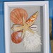 SEASHELL DESIGN SHADOWBOX in Hot Orange, starfish, colorful shells