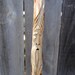 Carved Walking Stick......Ironwood (12-089) Kiln Dried Hardwood
