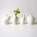 Vita Vase - Set of 4