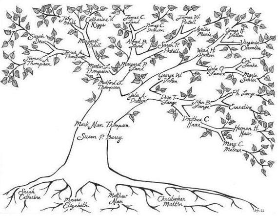draw family trees