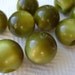 8 Olive Ball Buttons or Beads - Mid Century French Plastic