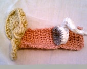 Ear, Crochet,  Ear Canal, and Middle Ear Bones. Cross Section