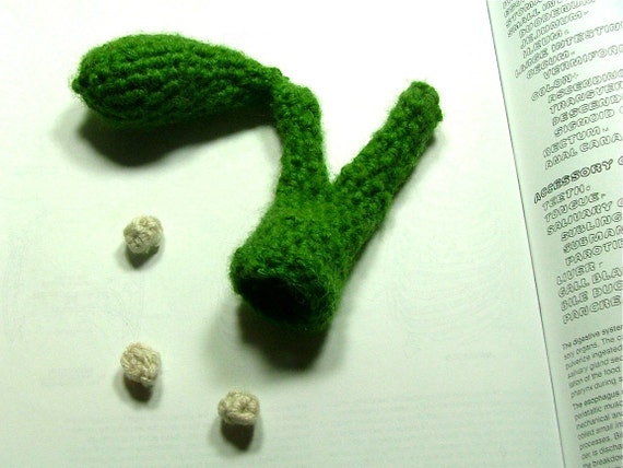 Gallbladder Crochet Plush with Removable Gallstones