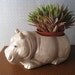 Hippo Planter