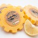 Vegan Organic No-Bottle ShampooBars -- 3 Bars of Gear Head with Massive Suds -- Made In America with All Natural Ingredients