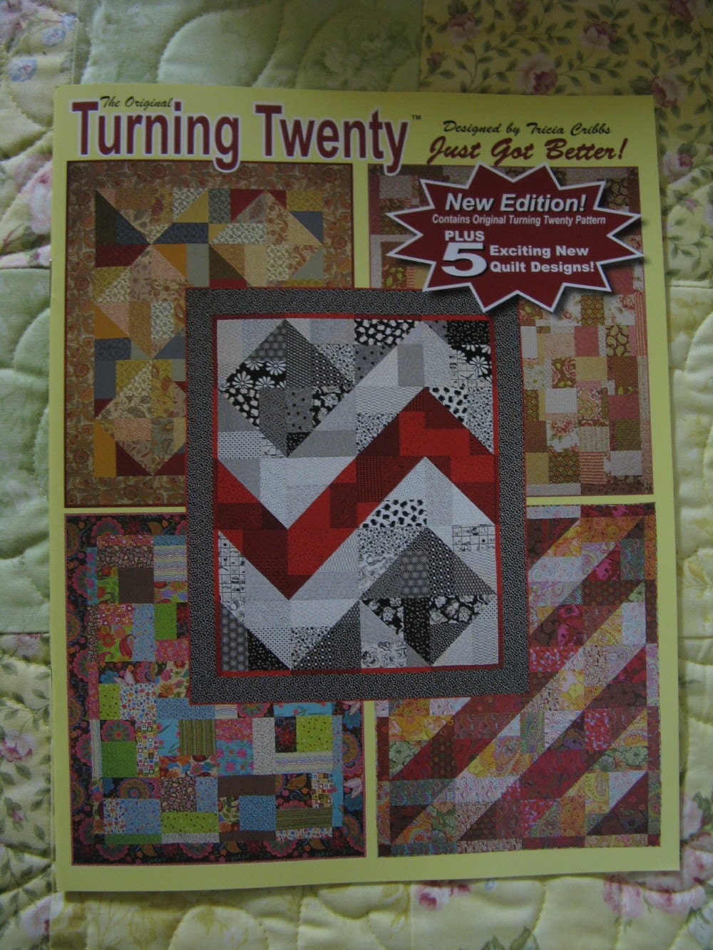 turning-twenty-just-got-better-quilt-pattern-by-donnasintheattic