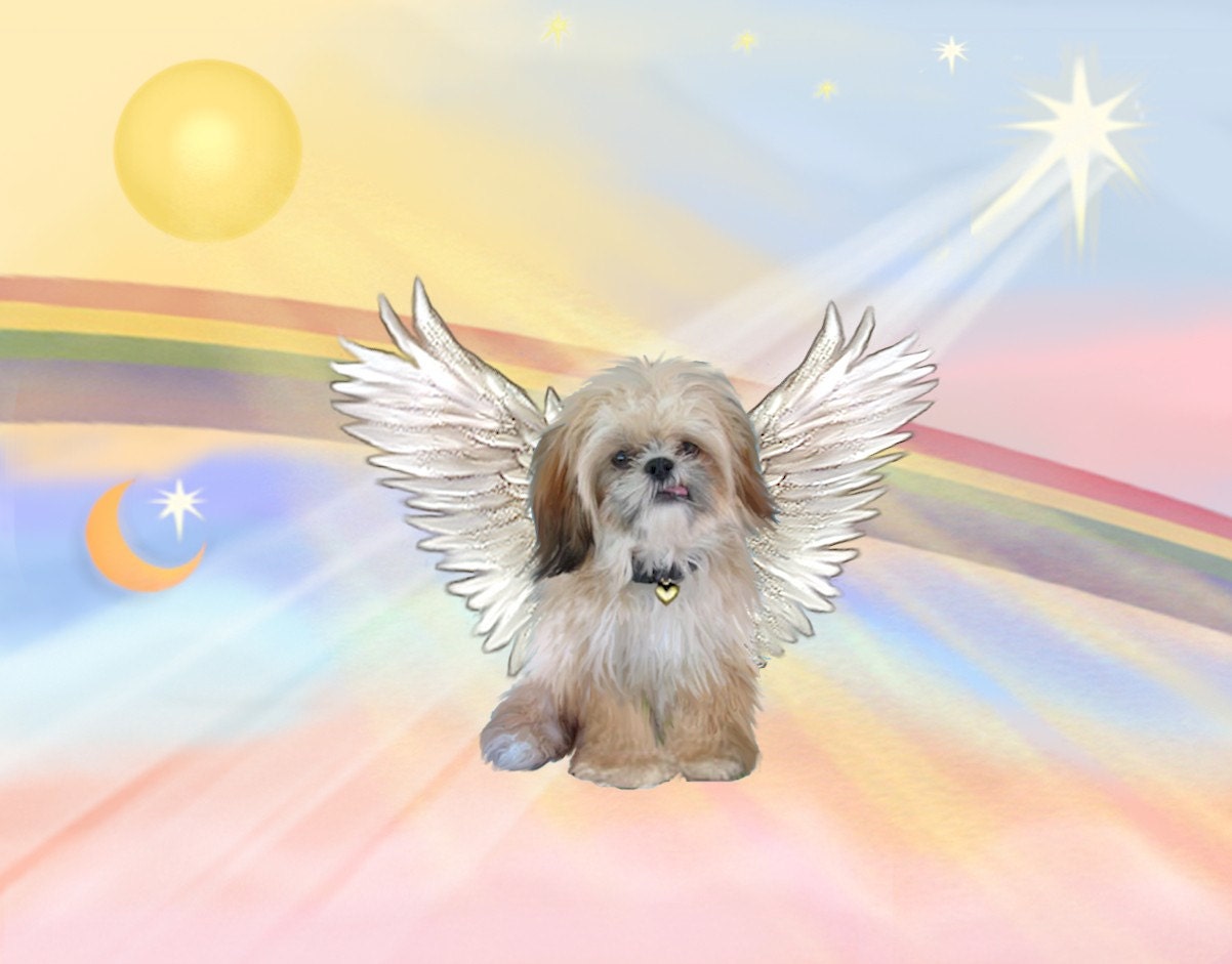 8x10 Print of Shih Tzu Angel by heartbridge on Etsy