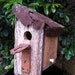 Wooded Birdhouse Rusty Hinge Upcycled Recycled Shabby Folk Art
