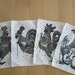 Vintage Cocktail Napkins Mid Century Chicken Rooster