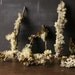 Mosses and Lichens Dried on Branches for Terrariums Craft Projects and Train Builders From Nowvintage