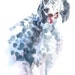 ENGLISH SETTER Original Watercolor Matted 8x10 Ready to Frame