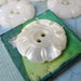 Vintage Buttons Pearl Flower Mother of Pearl Carved Ivory Shell 3/4 inch but0091 (6)