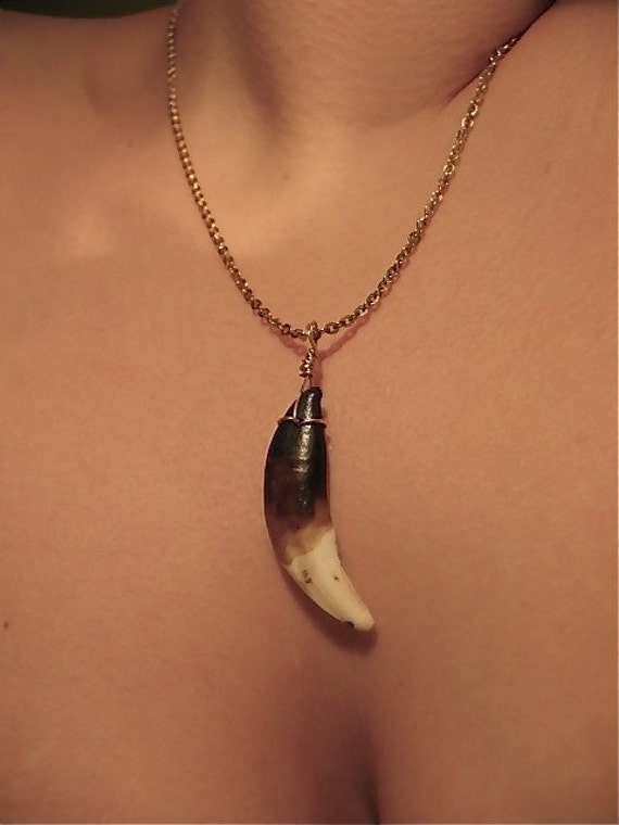 CAVEGIRL dog TOOTH necklace on VINTAGE chain