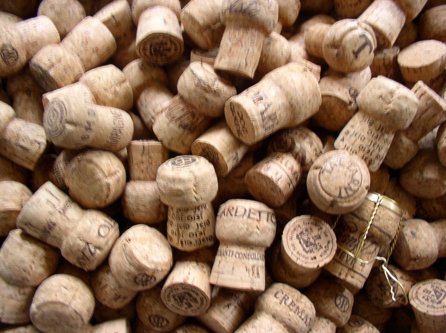 220 Used Champagne Corks