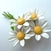 RESERVED. Bunch of Daisies Brooch Bouquet of Wedding White Wildflower Daisies with Sunny Yellow Centers ((Free Shipping USA))