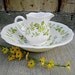 Vintage - Petite Flora Ironstone - Dainty Pitcher n Basin