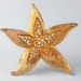 Starfish Brooch or Pin Vintage Gold Tone